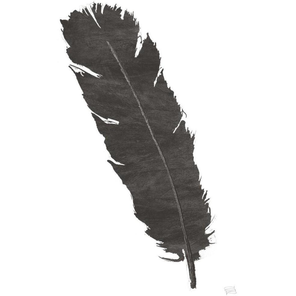 Black Feather V -Paper Art-18&quotx26"