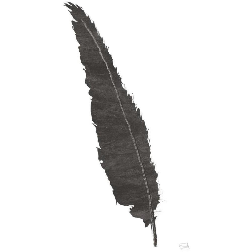 Black Feather VI -Paper Art-26&quotx38"