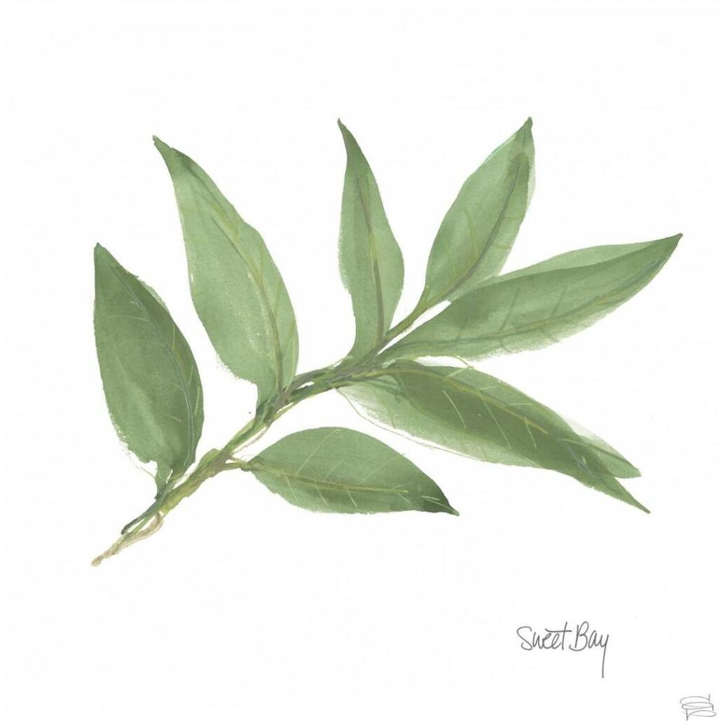 Sweet Bay v2 -Paper Art-42&quotx42"