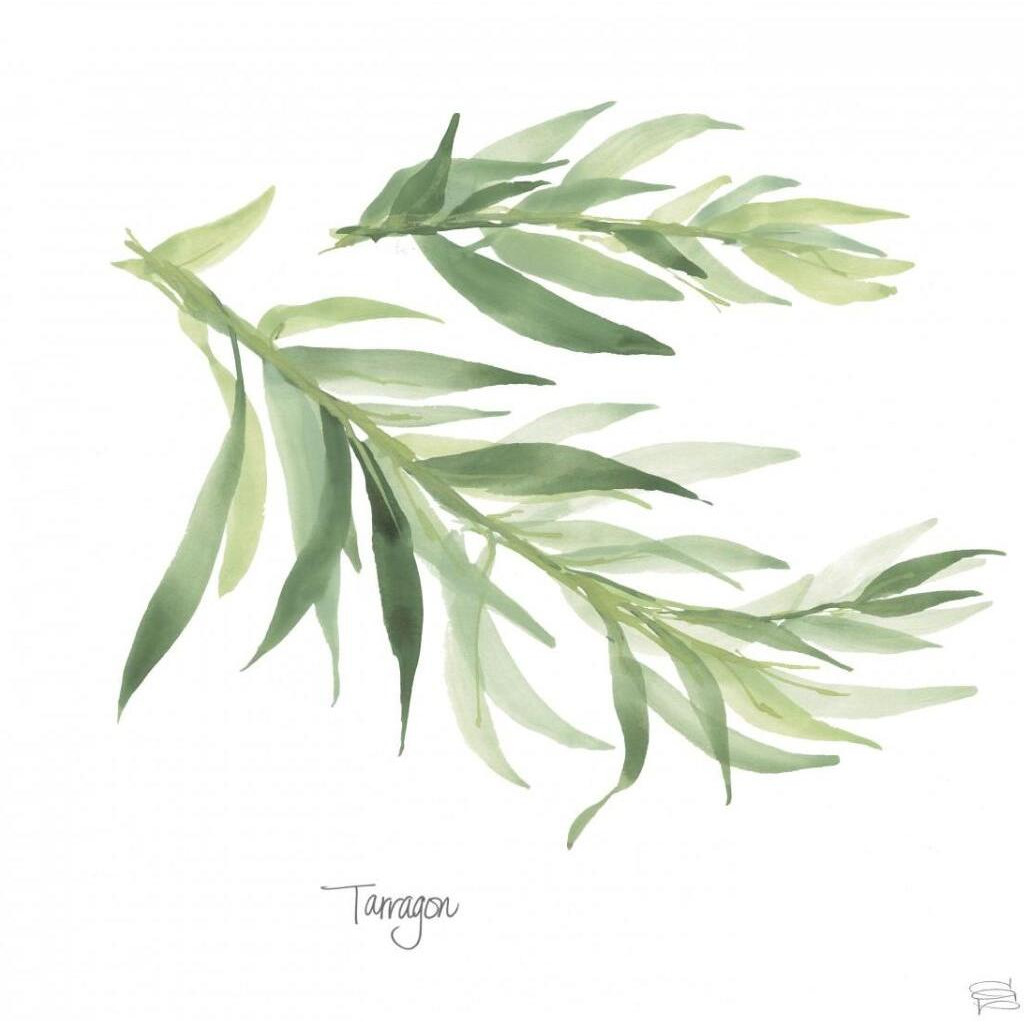 Tarragon v2 -Paper Art-32&quotx32"