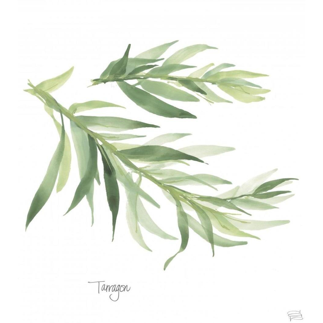 Tarragon v2 -Paper Art-38&quotx38"