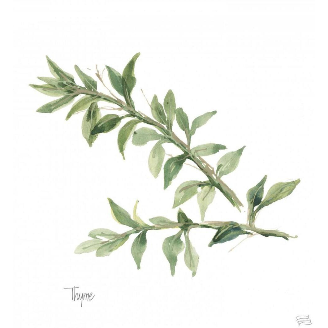 Thyme v2 -Paper Art-38&quotx38"
