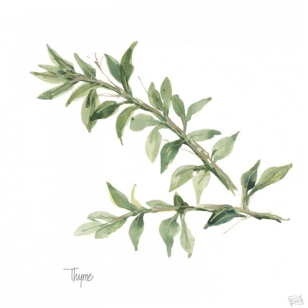 Thyme v2 -Paper Art-42&quotx42"