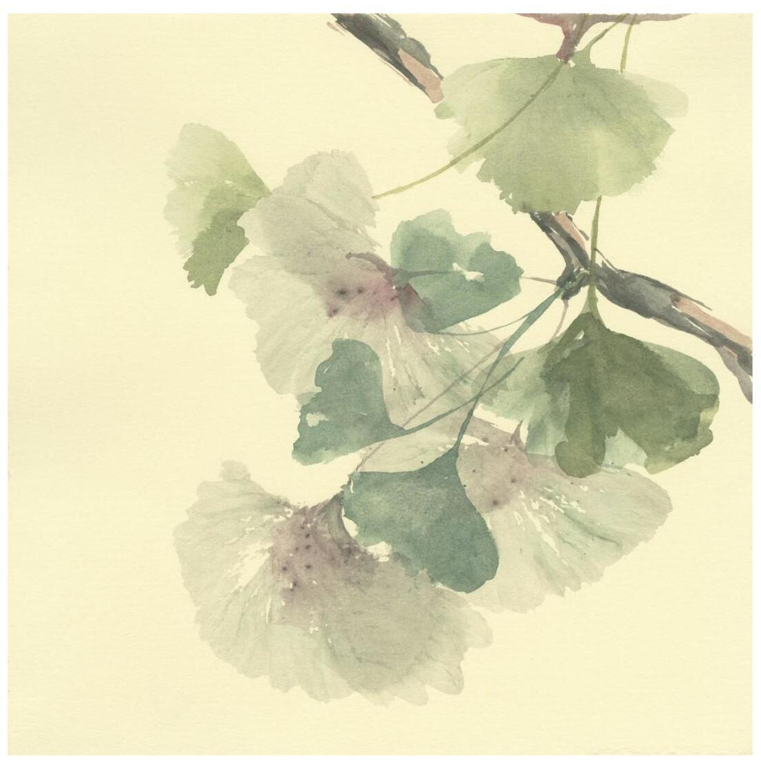 Gingko Leaves II -Paper Art-20&quotx20"