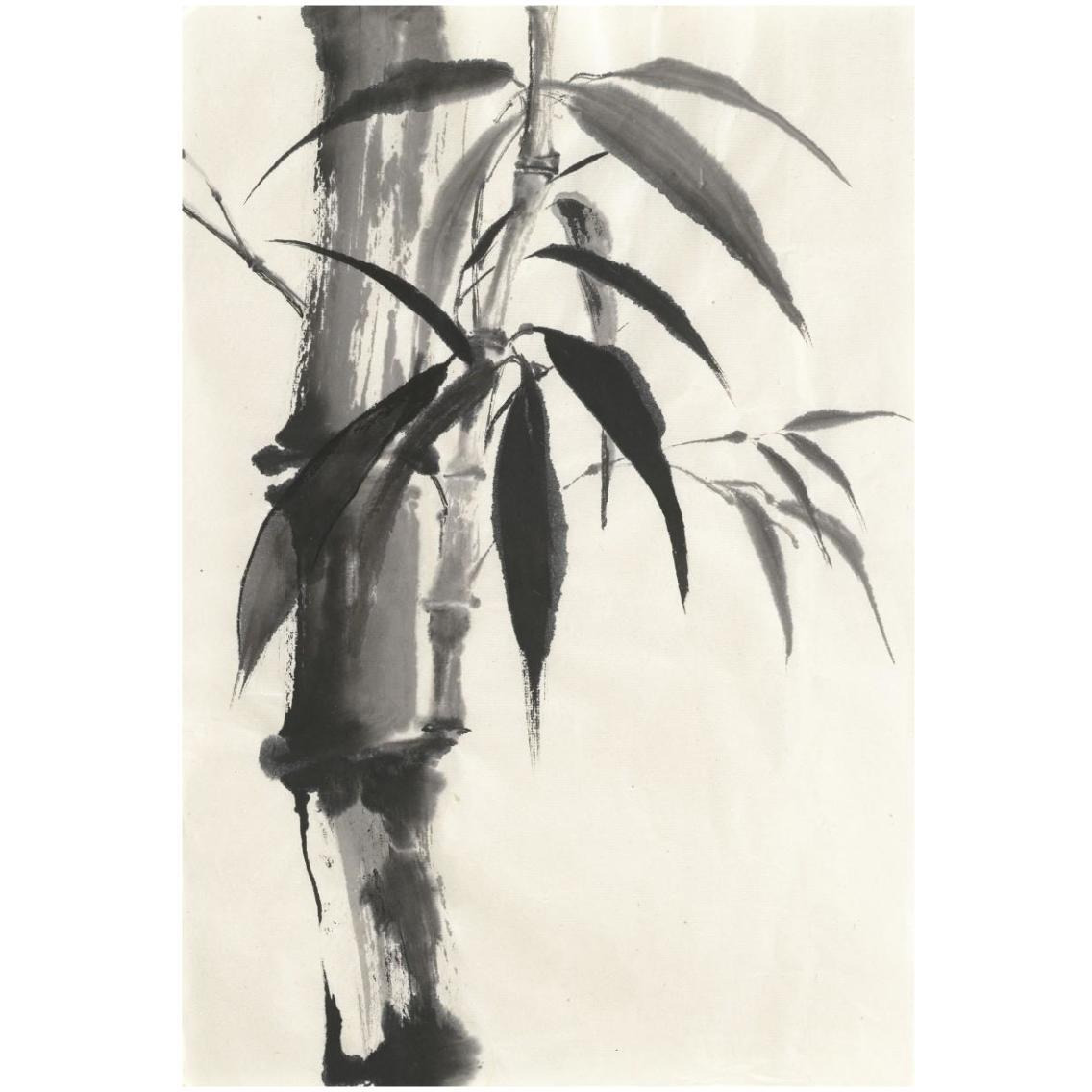 Sumi Bamboo Cream -Paper Art-22&quotx32"