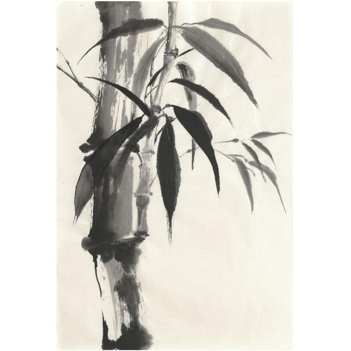 Sumi Bamboo Cream -Paper Art-34&quotx50"