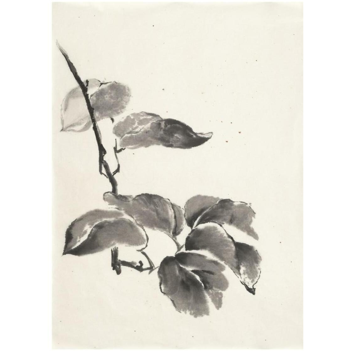 Sumi Kiwi Cream -Paper Art-20&quotx26"