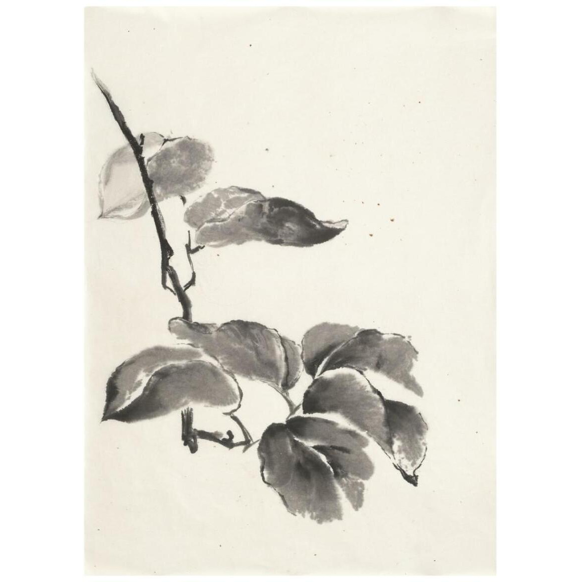 Sumi Kiwi Cream -Paper Art-32&quotx42"