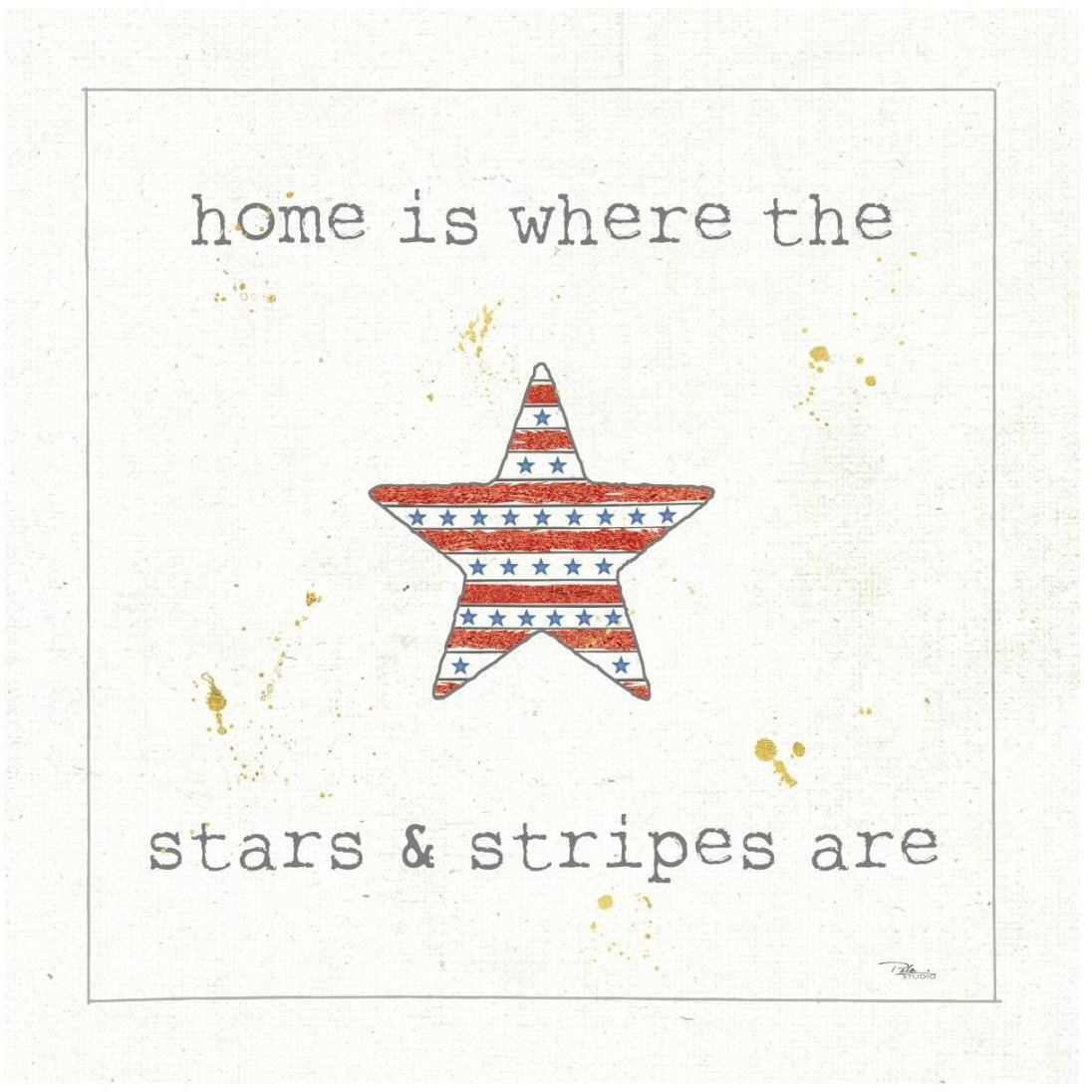 USA Cuties IV -Paper Art-20&quotx20"