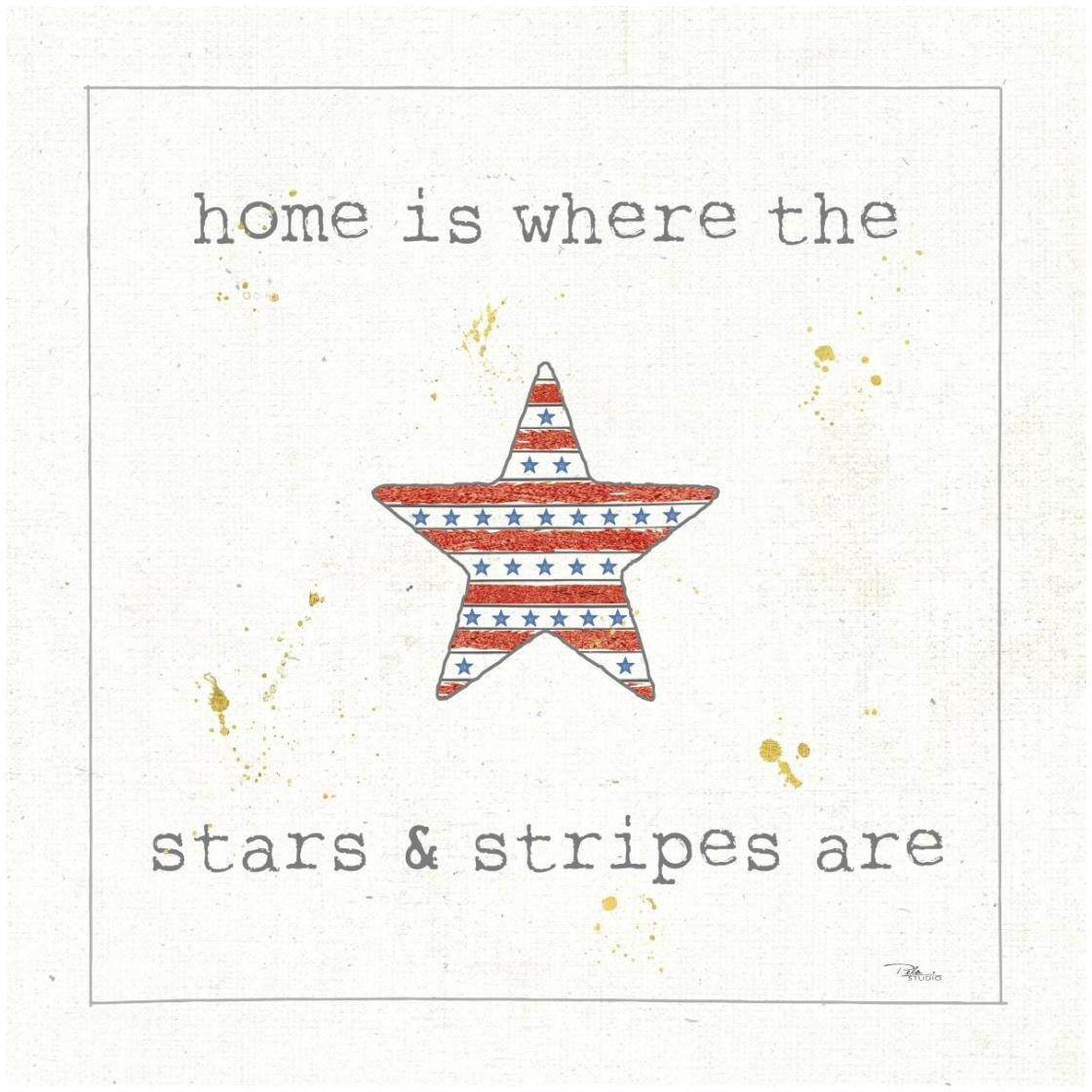 USA Cuties IV -Paper Art-26&quotx26"