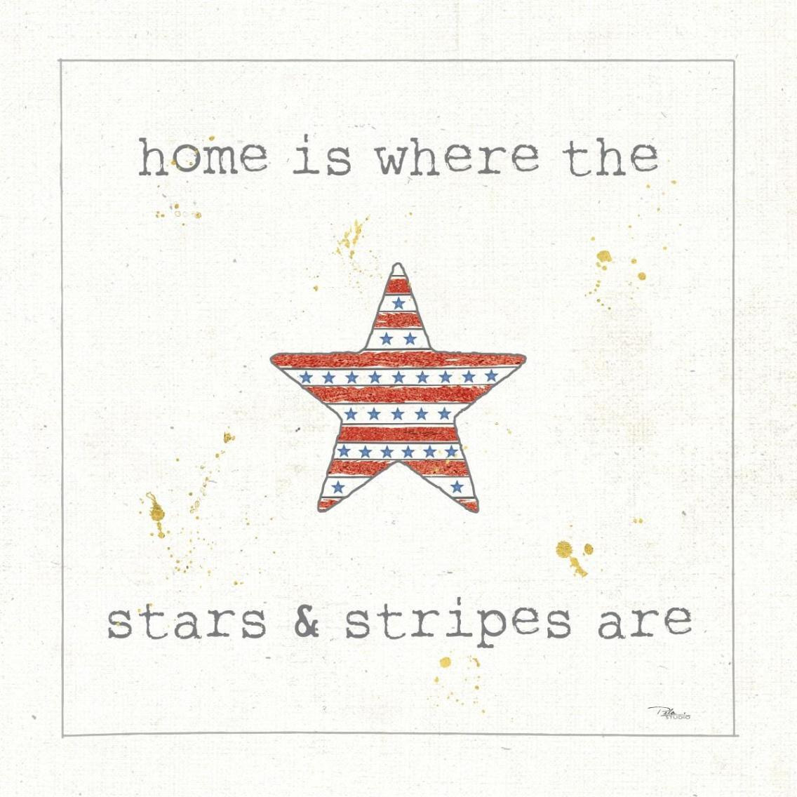 USA Cuties IV -Paper Art-38&quotx38"