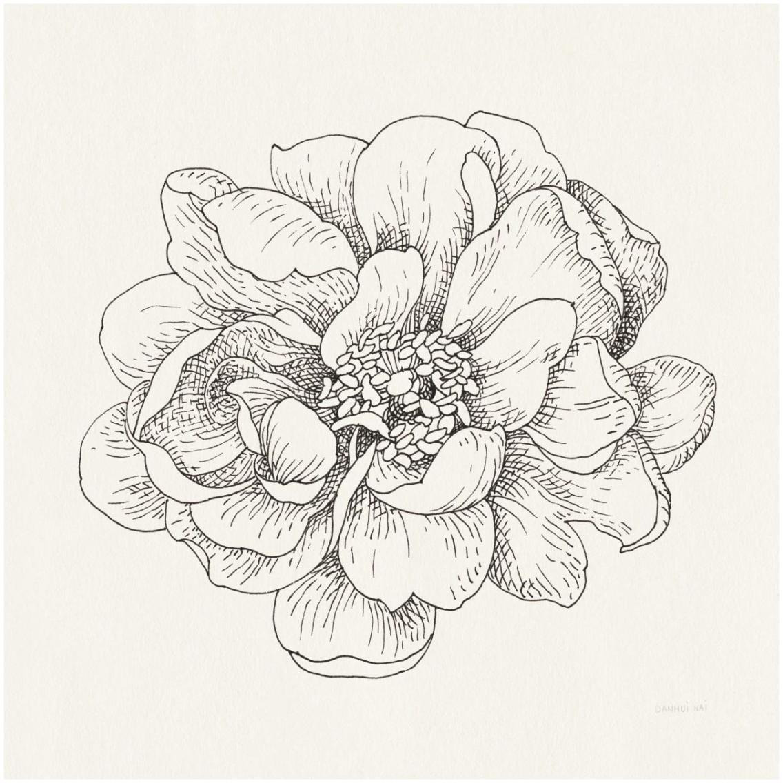 Pen and Ink Florals IV -Paper Art-32&quotx32"