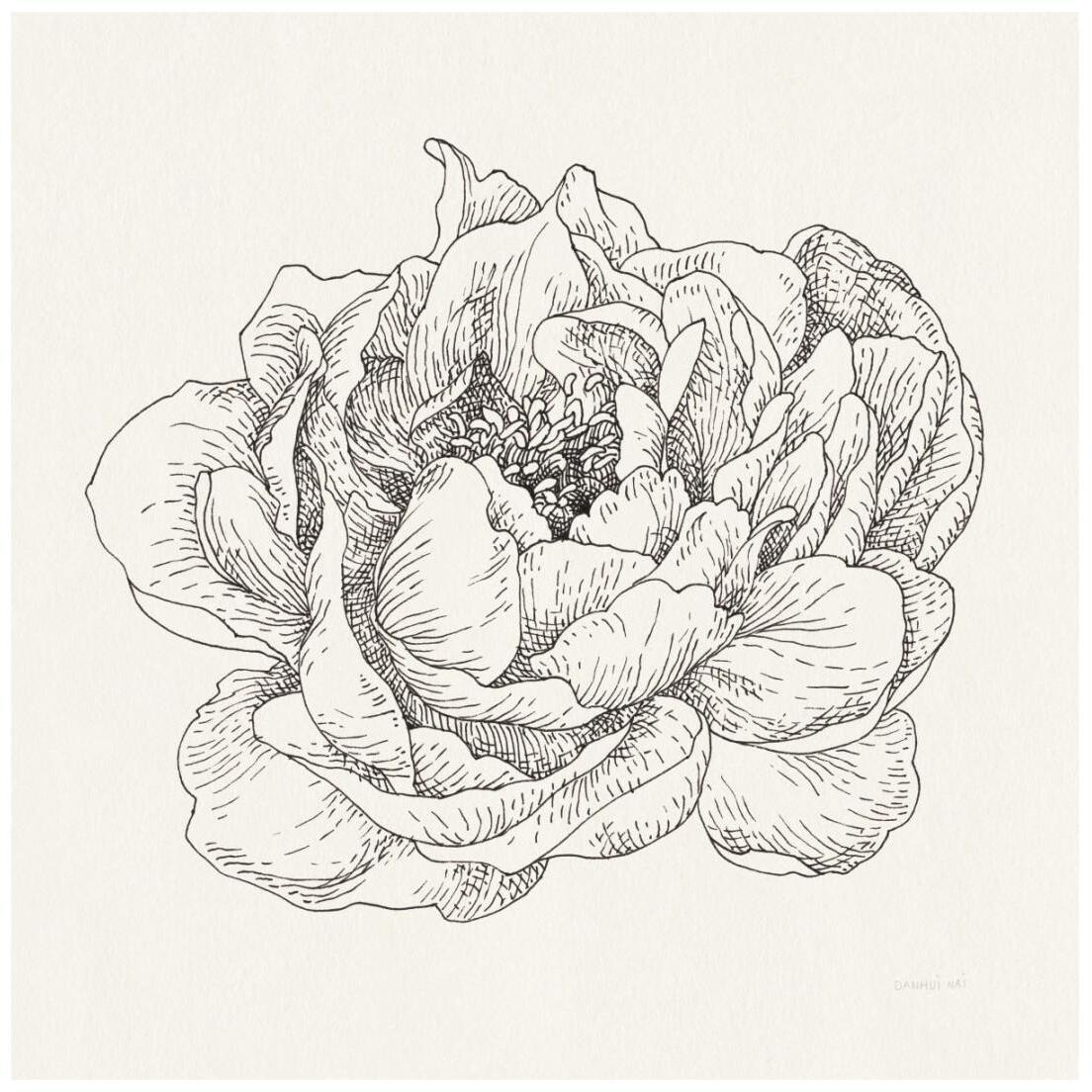 Pen and Ink Florals V -Paper Art-20&quotx20"
