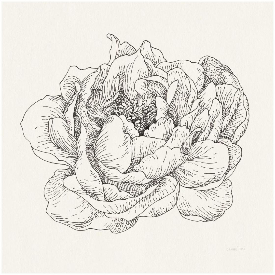 Pen and Ink Florals V -Paper Art-26&quotx26"