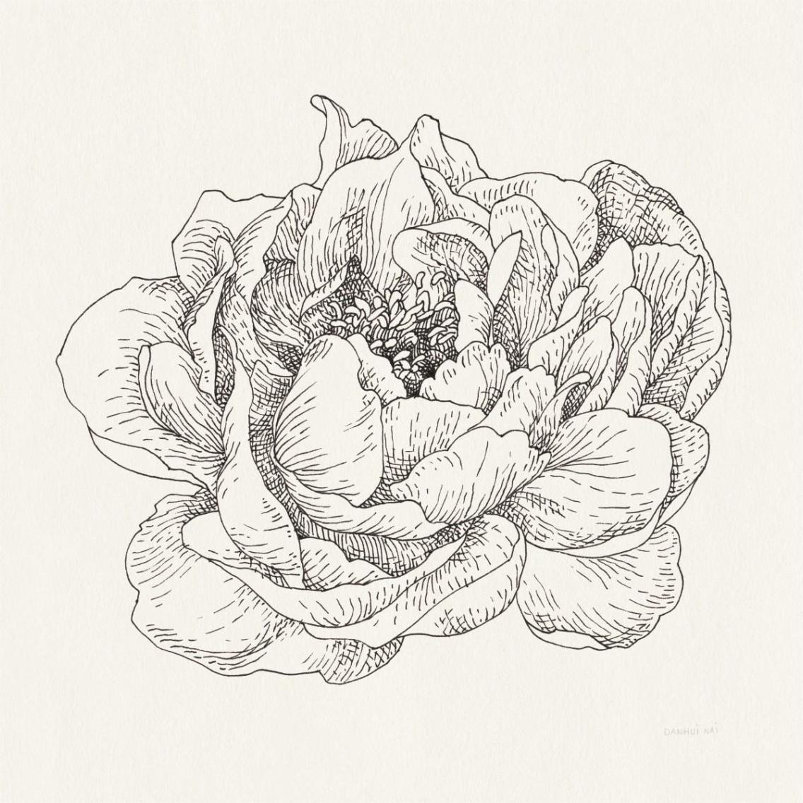 Pen and Ink Florals V -Paper Art-38&quotx38"