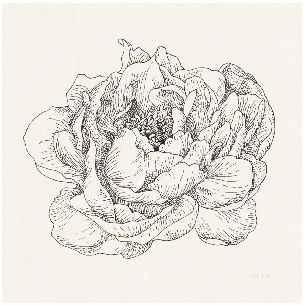 Pen and Ink Florals V -Paper Art-42&quotx42"