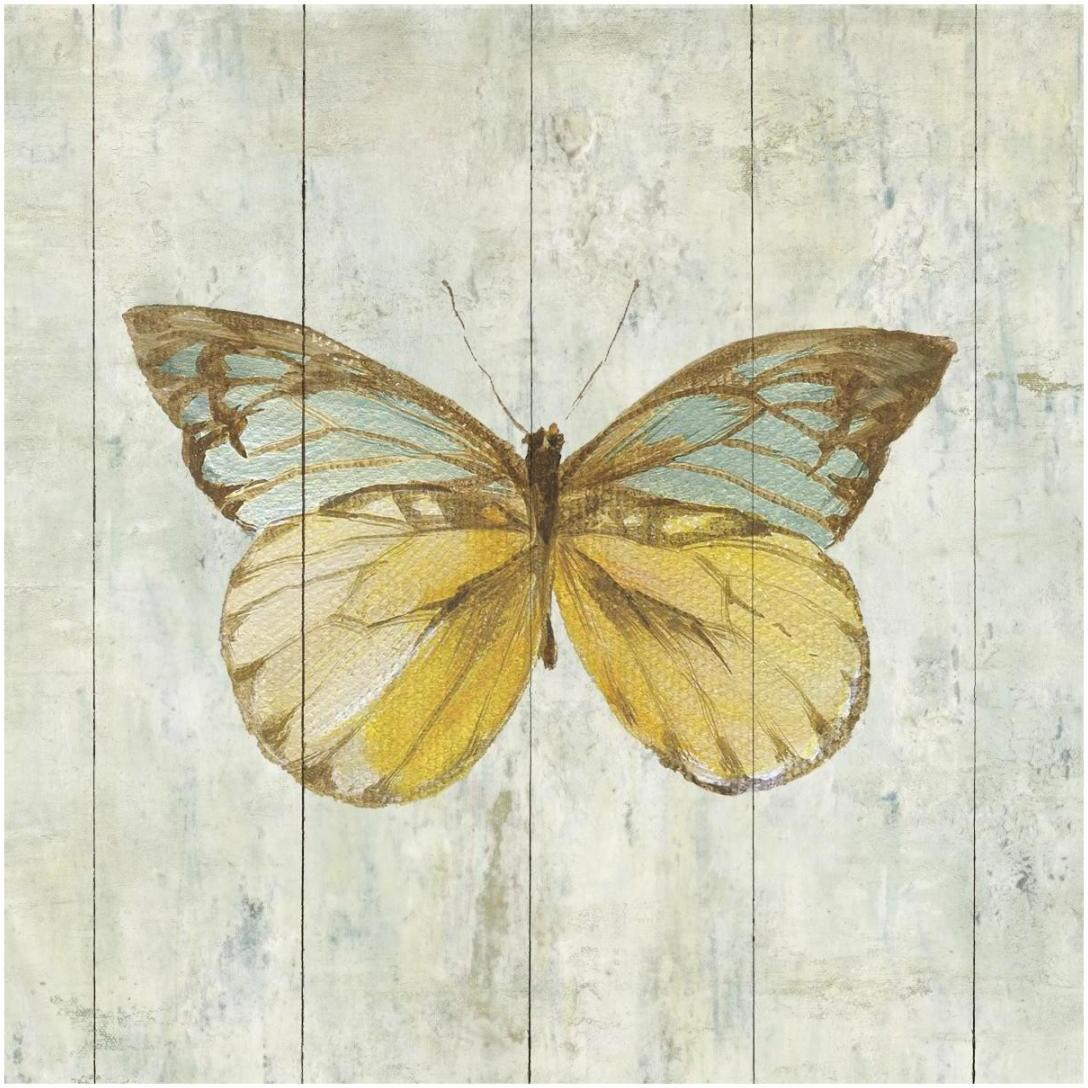 Natural Flora VIII -Paper Art-20&quotx20"