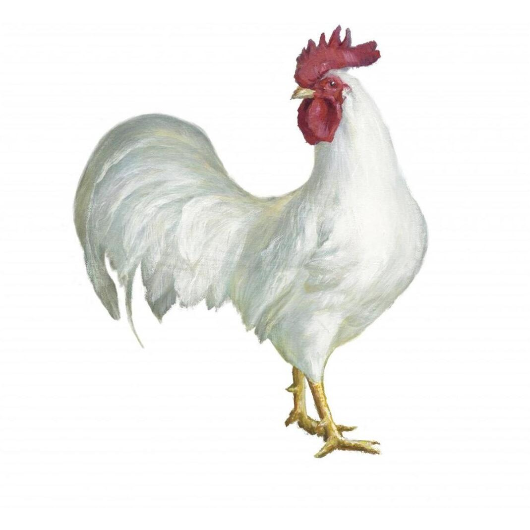 Noble Rooster I on White -Paper Art-20&quotx20"