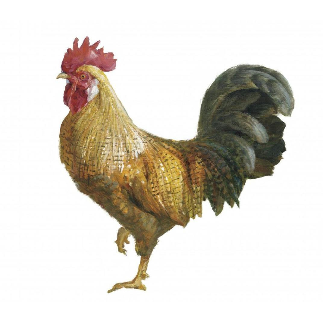 Noble Rooster II on White -Paper Art-20&quotx20"