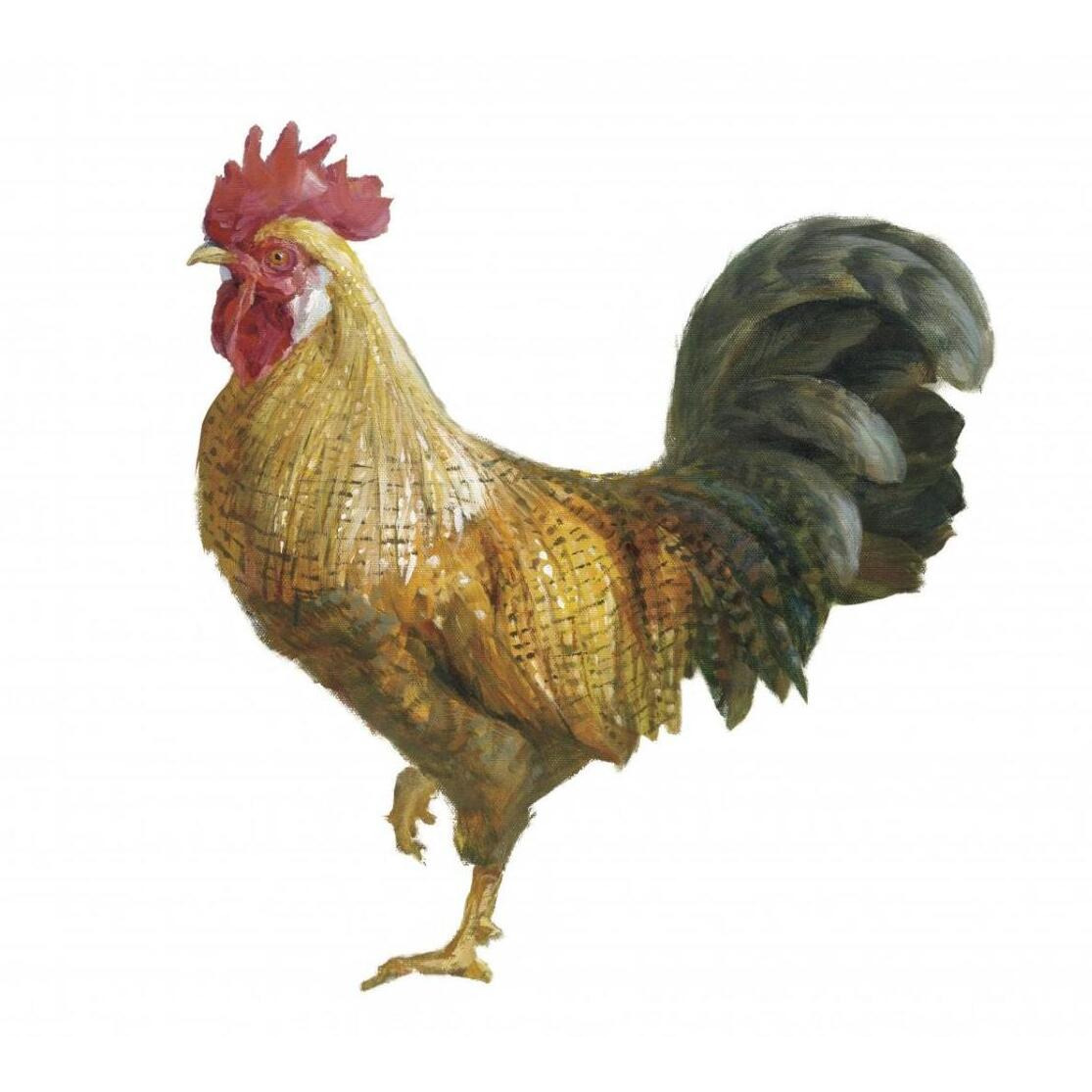Noble Rooster II on White -Paper Art-32&quotx32"