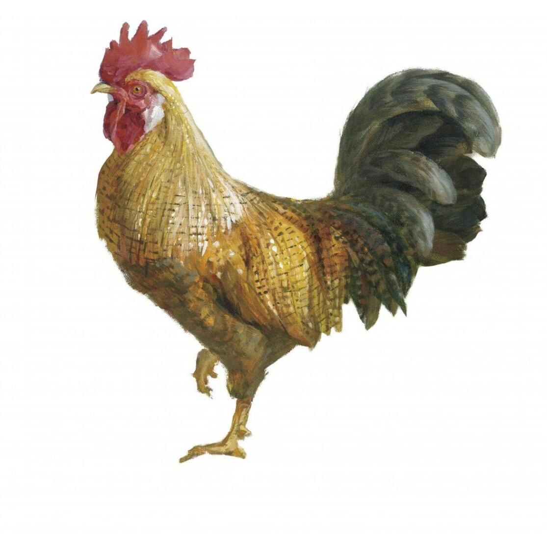 Noble Rooster II on White -Paper Art-42&quotx42"