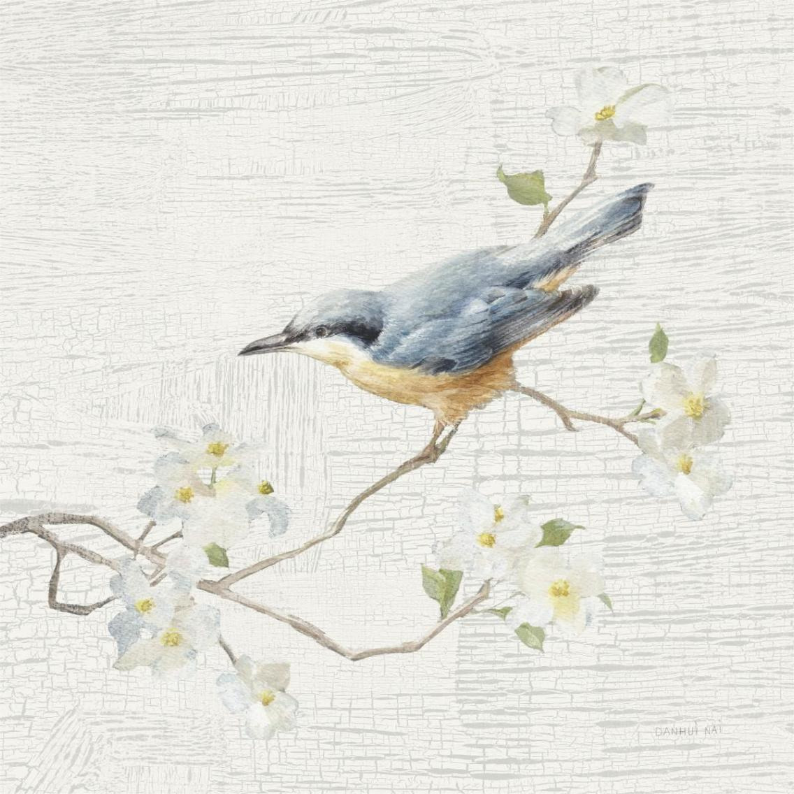 Nuthatch Vintage -Paper Art-38&quotx38"