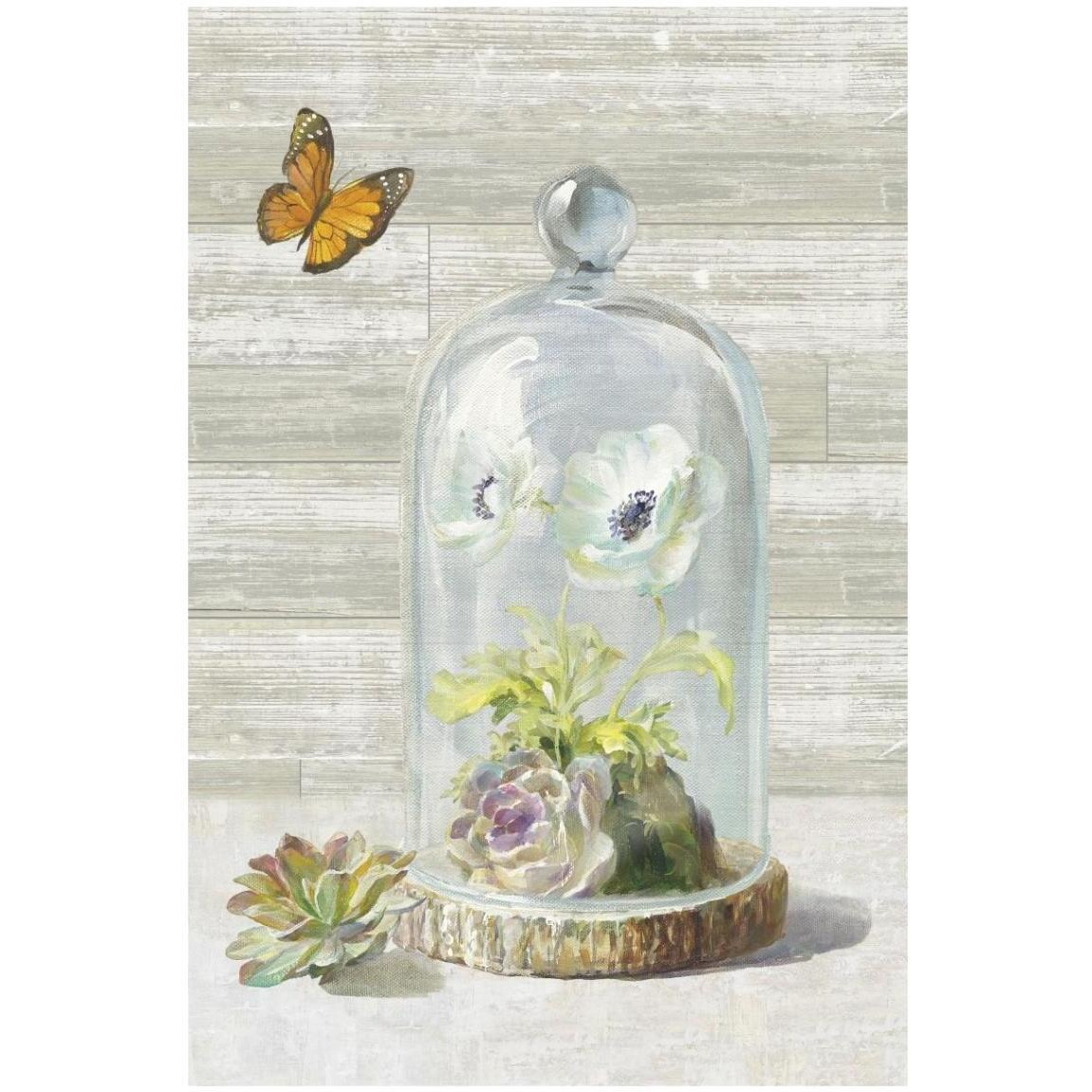 Succulent Garden I Crop -Paper Art-14&quotx20"
