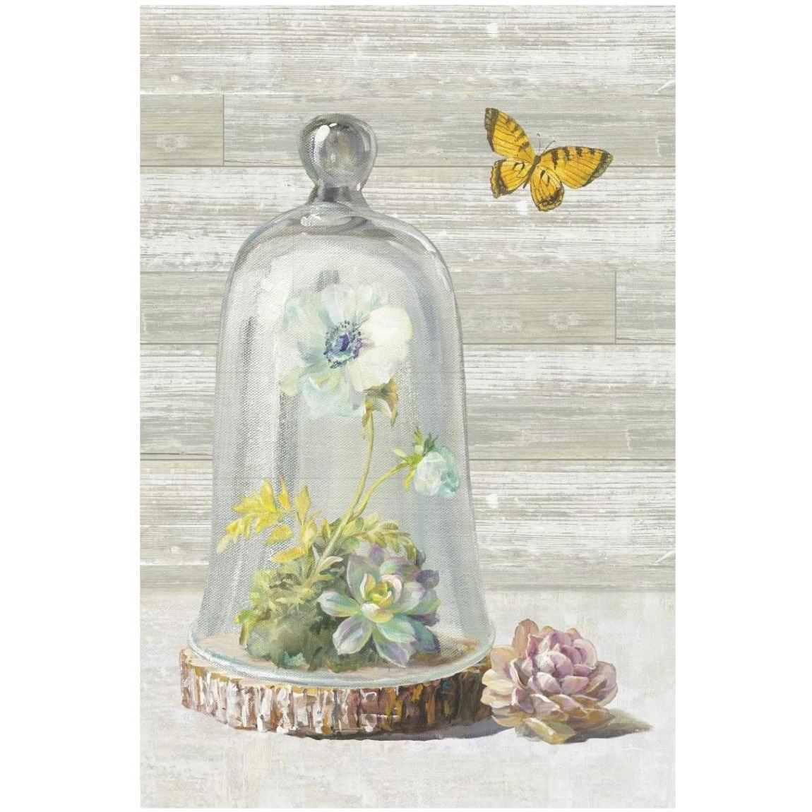Succulent Garden II Crop -Paper Art-14&quotx20"