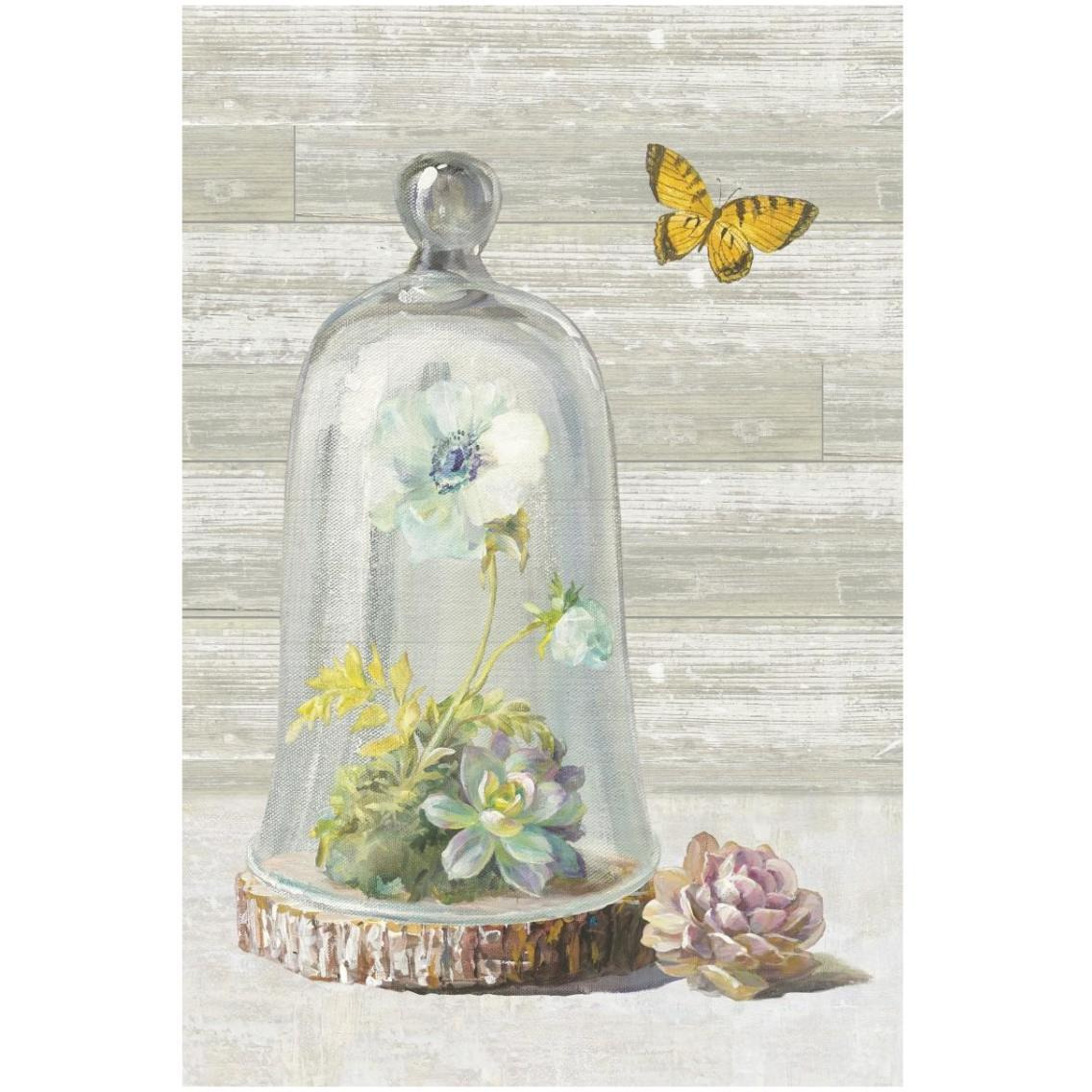 Succulent Garden II Crop -Paper Art-22&quotx32"