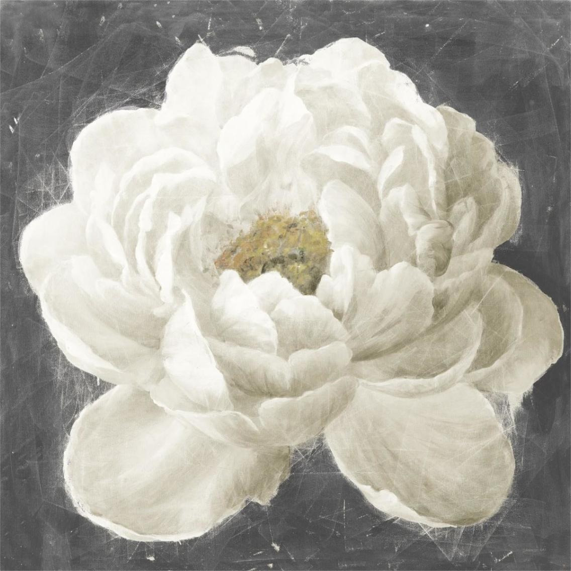 Vivid Floral I White Flower -Paper Art-38&quotx38"