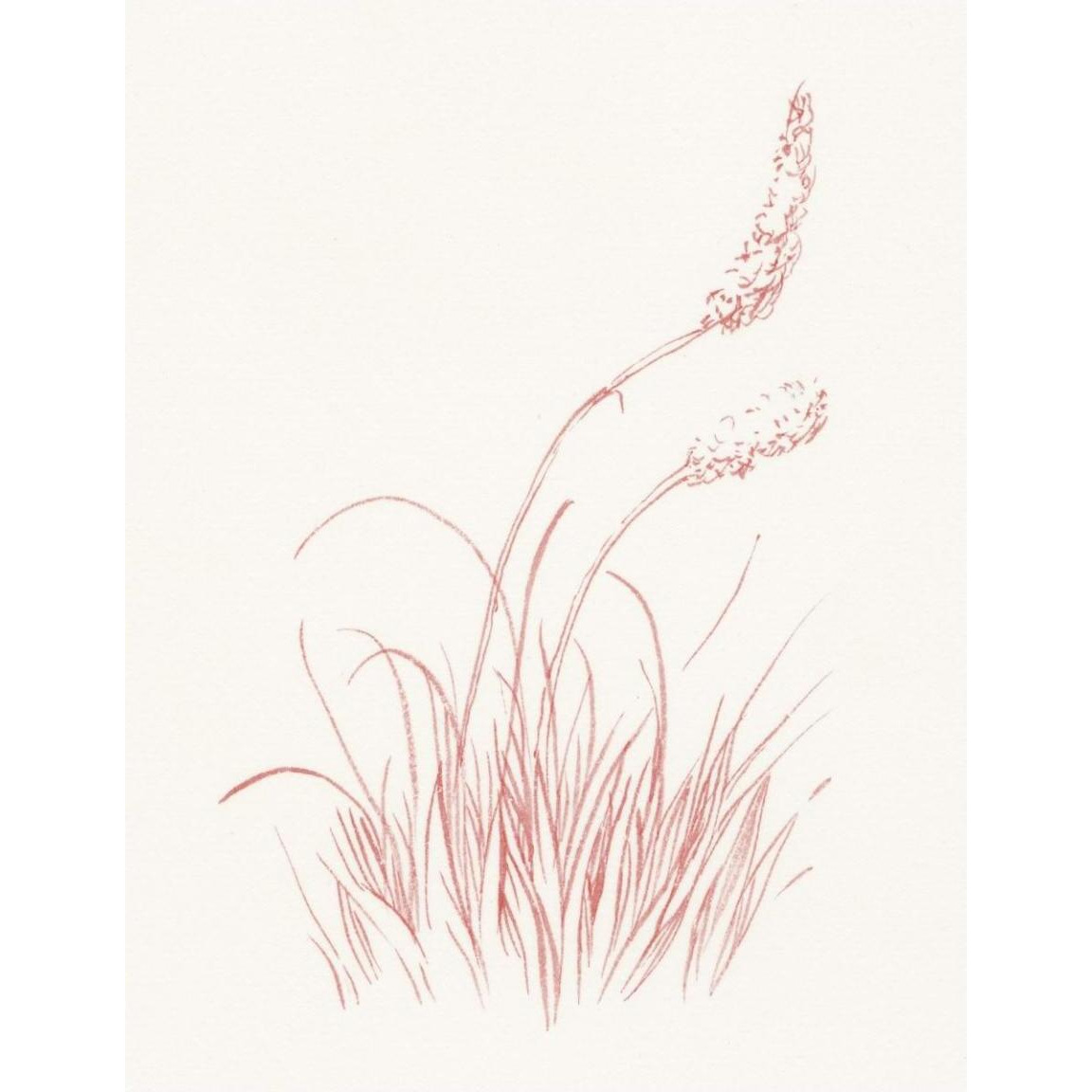 Farm Nostalgia Flowers IV -Paper Art-38&quotx50"
