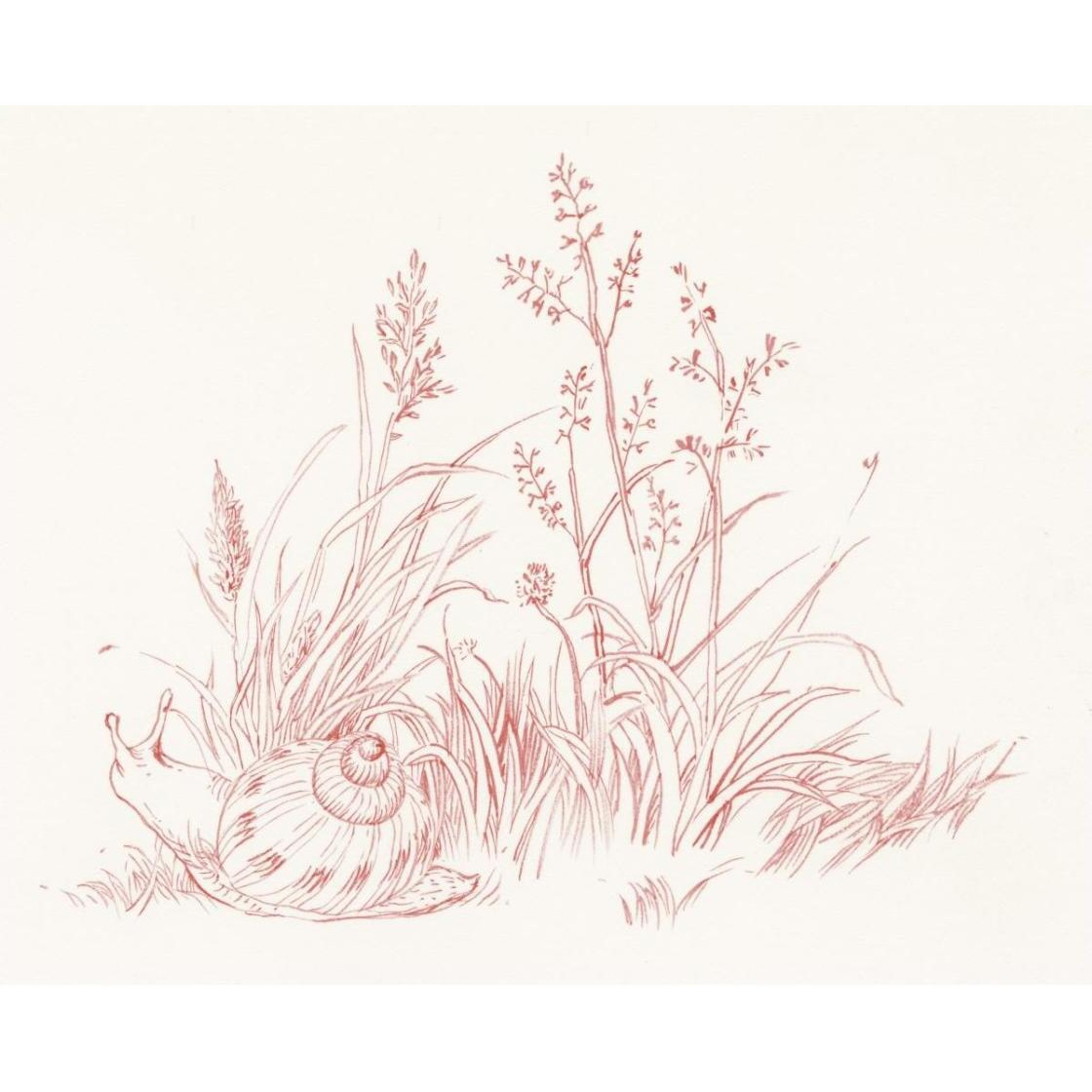Farm Nostalgia Flowers VII -Paper Art-30&quotx24"