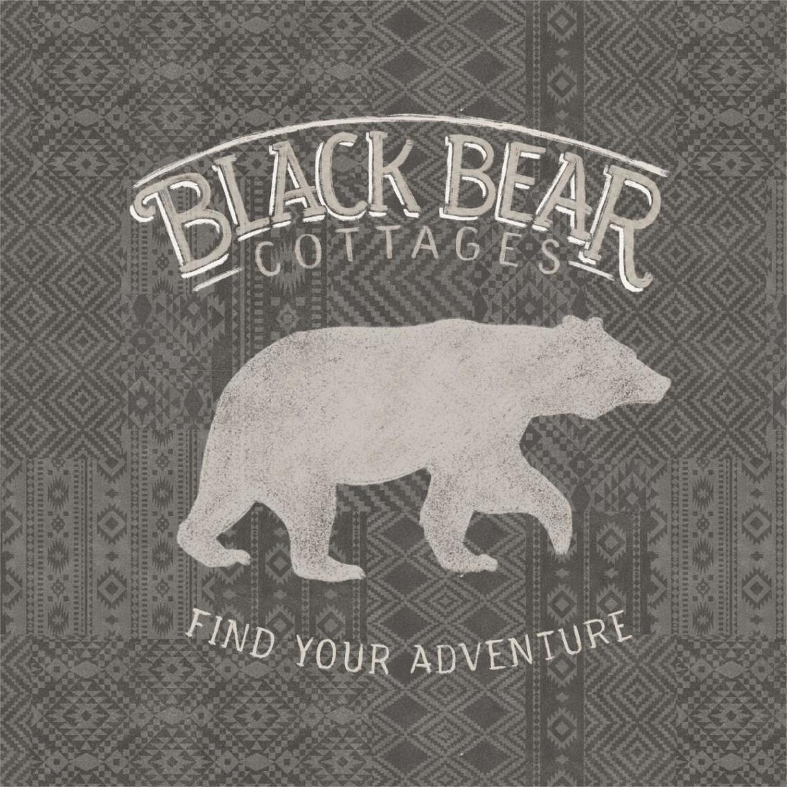 Soft Lodge I Dark -Paper Art-38&quotx38"