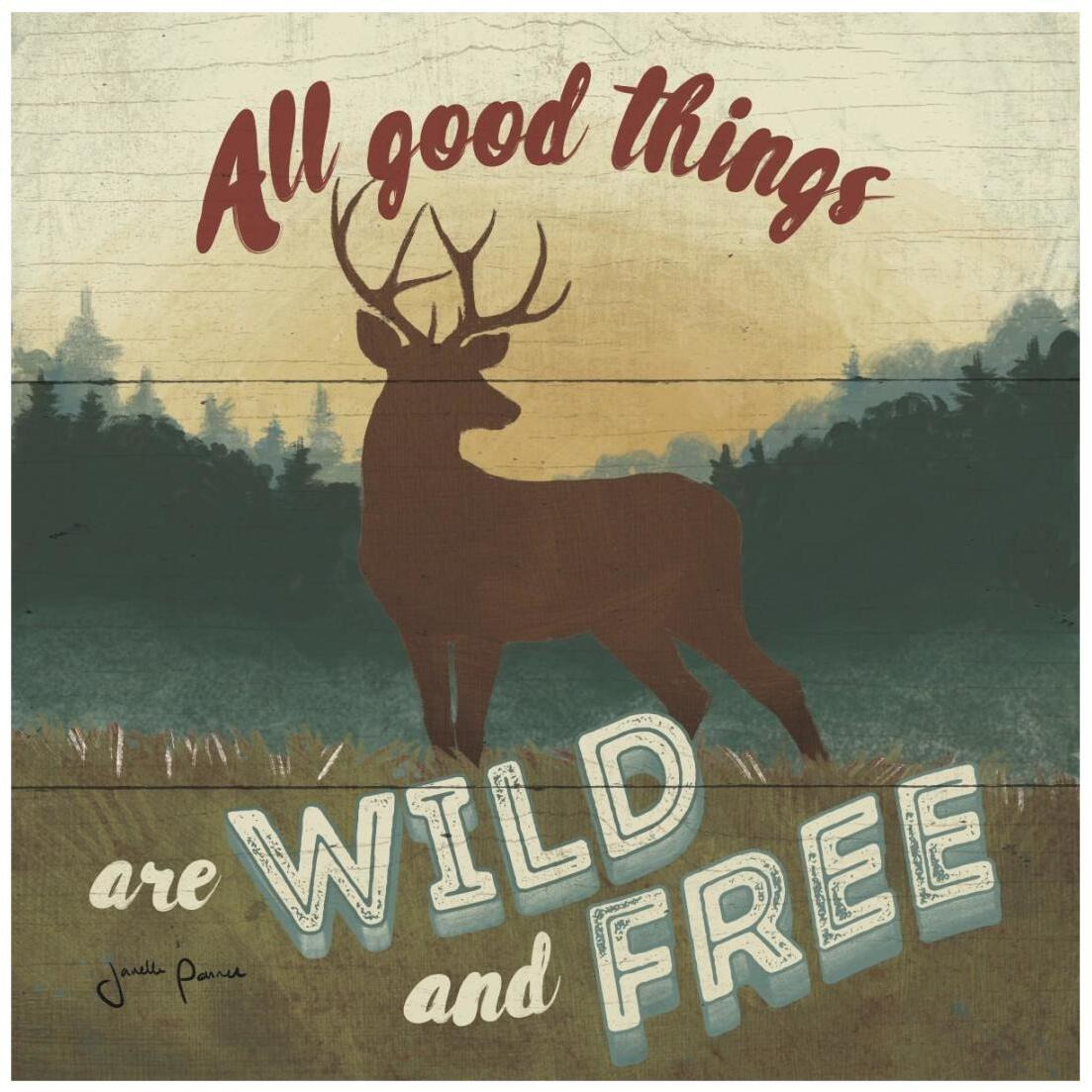 Discover the Wild VI -Paper Art-20&quotx20"