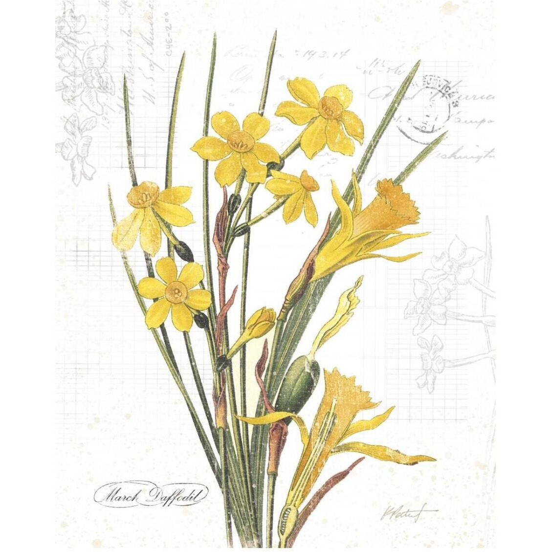 March Daffodil on White -Paper Art-24&quotx30"