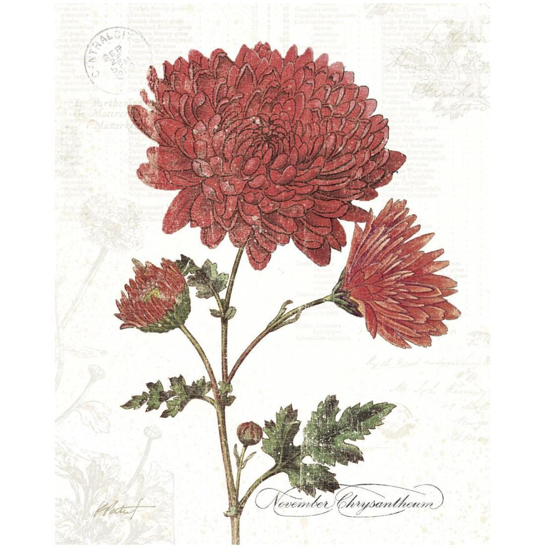 November Mum on White -Paper Art-18&quotx22"