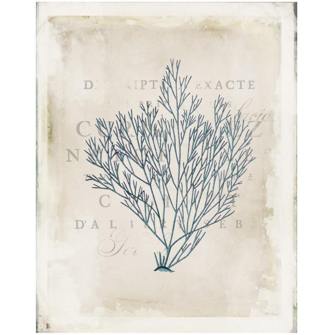 Sea Garden II -Paper Art-18&quotx22"