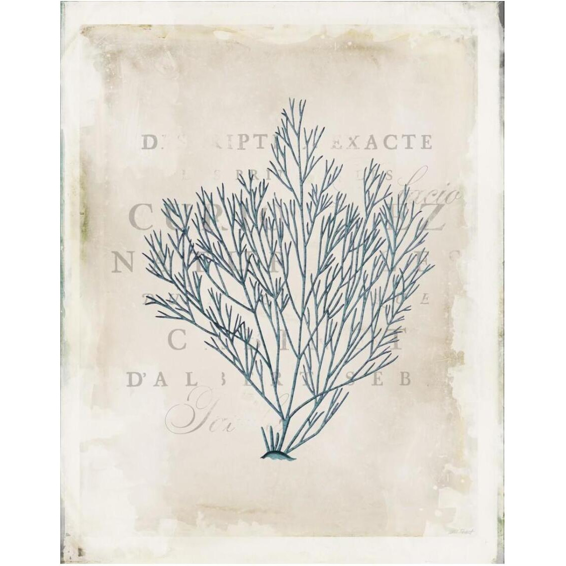 Sea Garden II -Paper Art-24&quotx30"