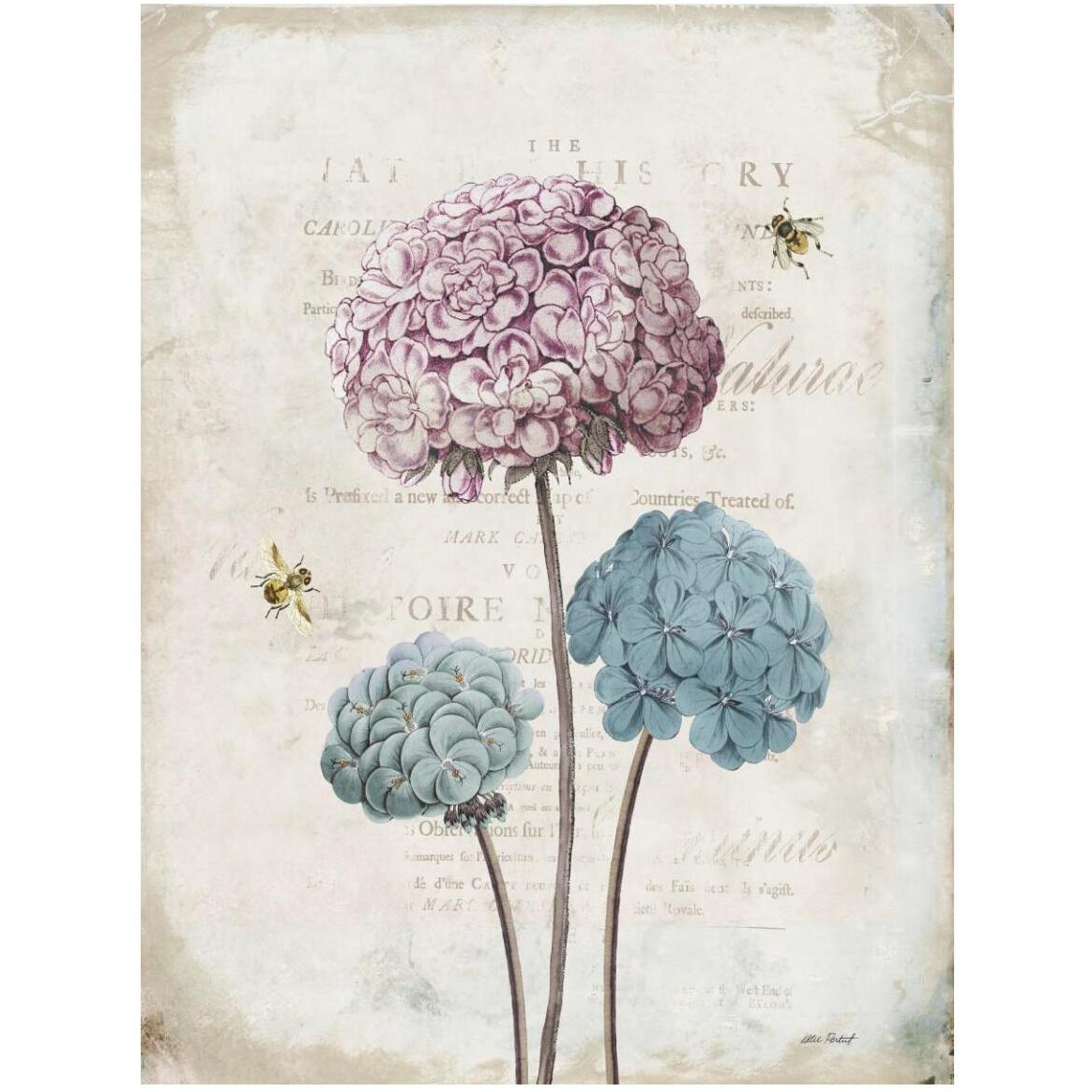 Geranium Study I Pink Flower -Paper Art-38&quotx50"