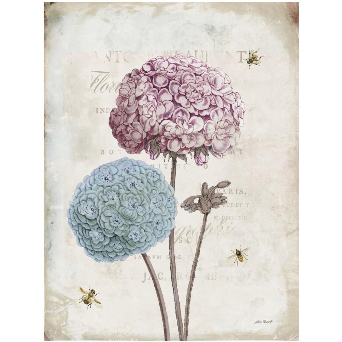 Geranium Study II Pink Flower -Paper Art-38&quotx50"