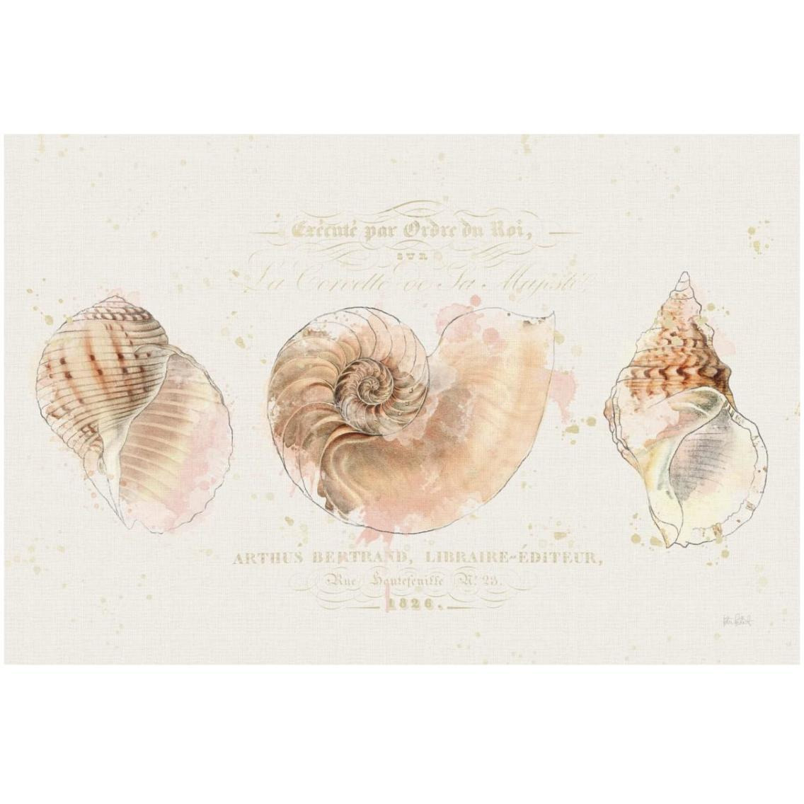 Shell Collector I -Paper Art-32&quotx22"