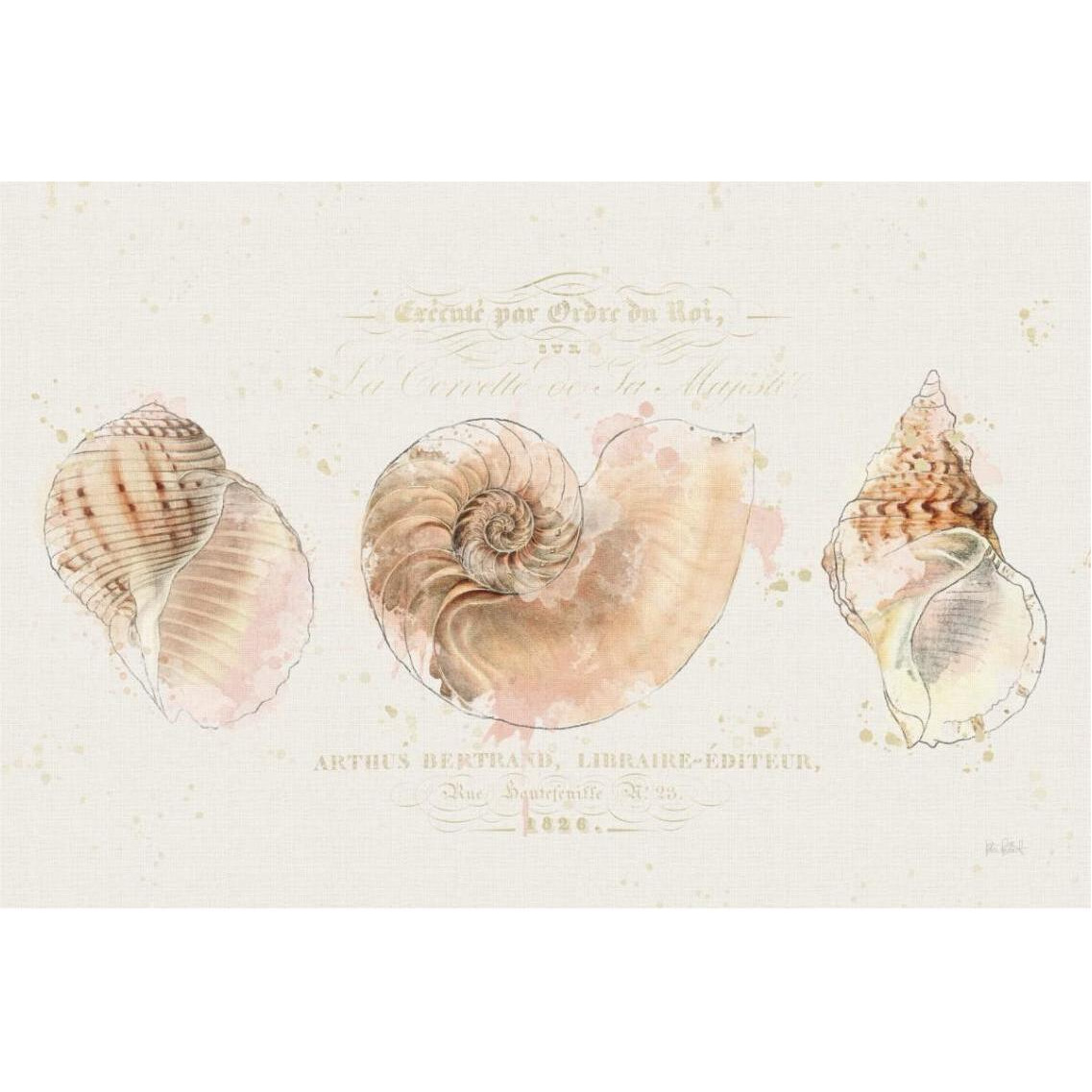 Shell Collector I -Paper Art-38&quotx26"