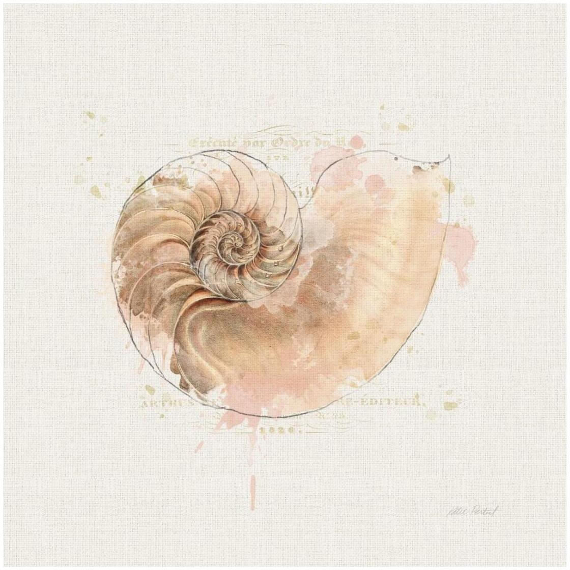 Shell Collector II -Paper Art-26&quotx26"