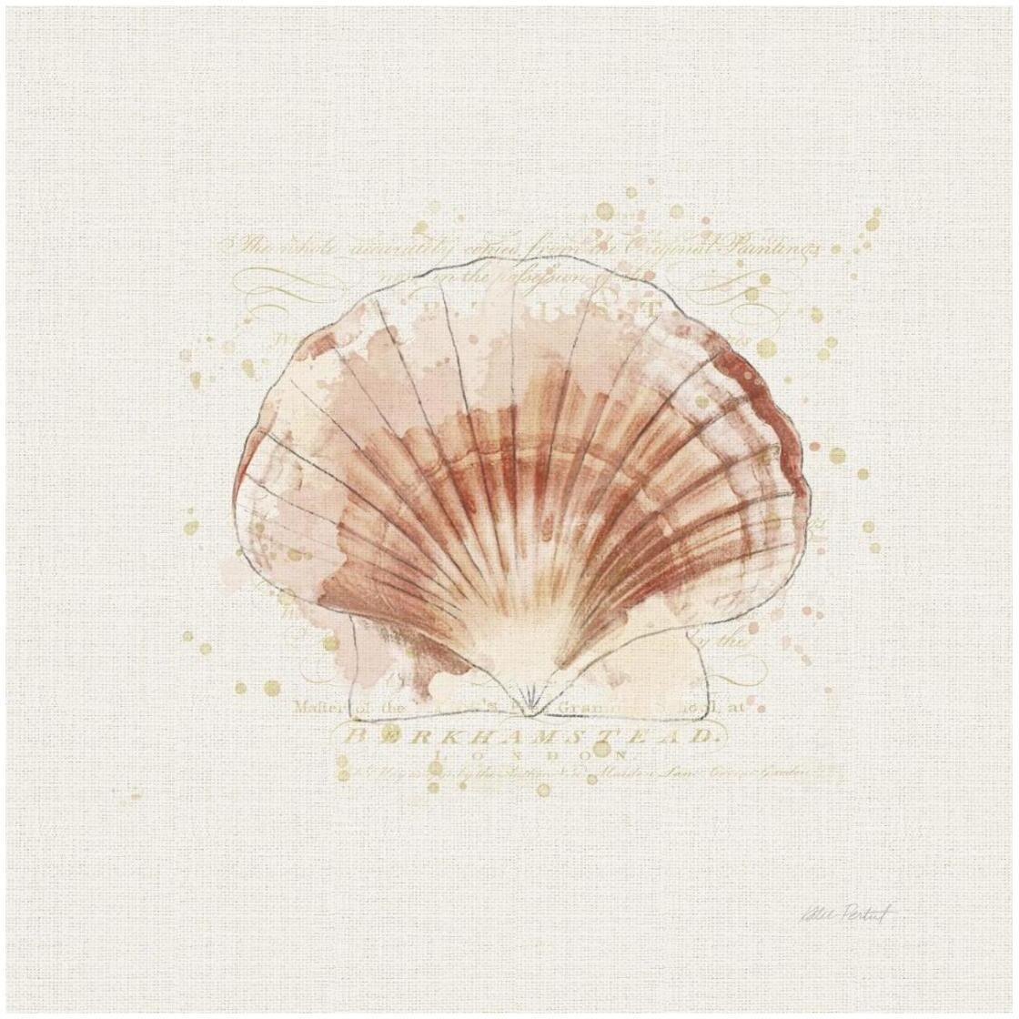 Shell Collector IV -Paper Art-26&quotx26"