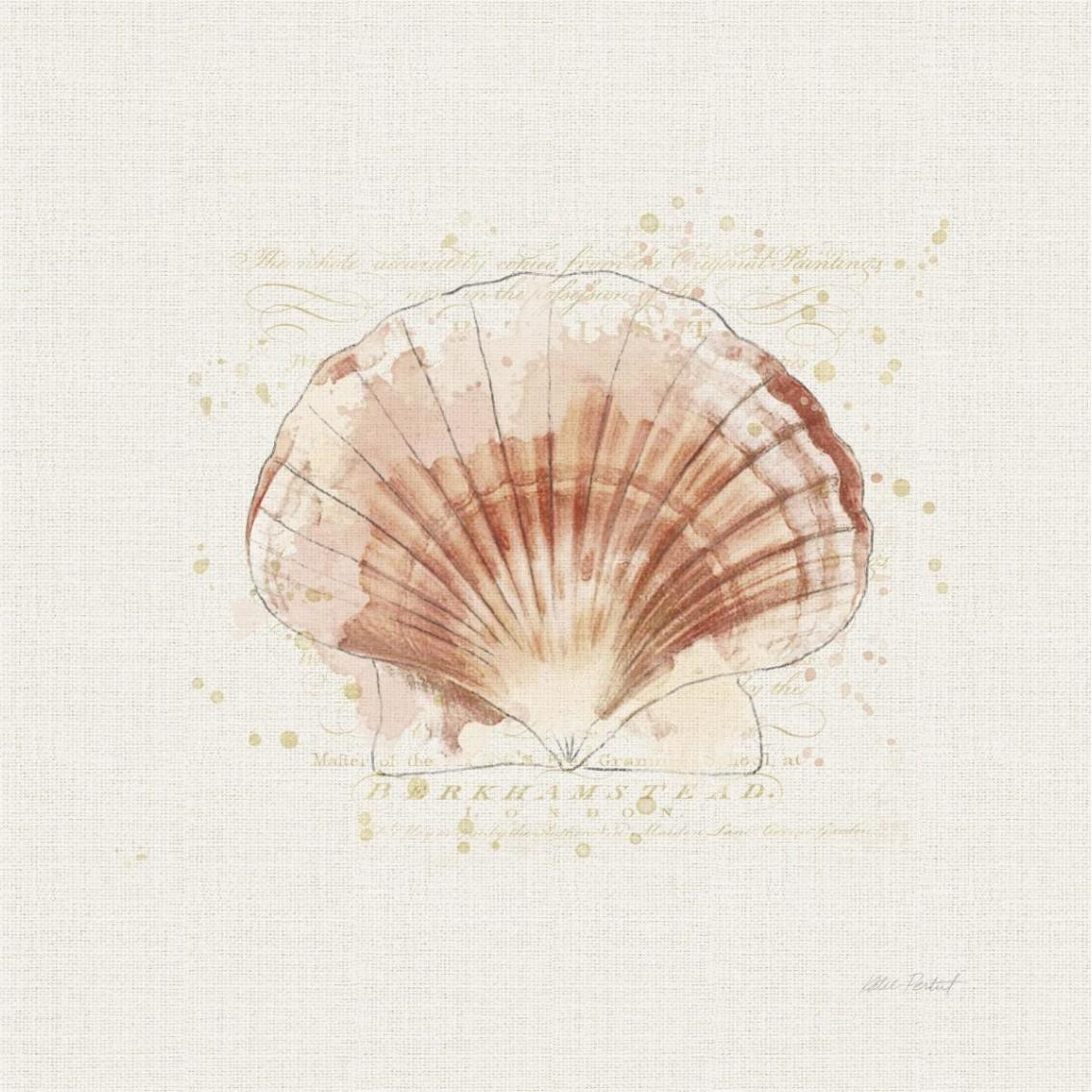 Shell Collector IV -Paper Art-38&quotx38"