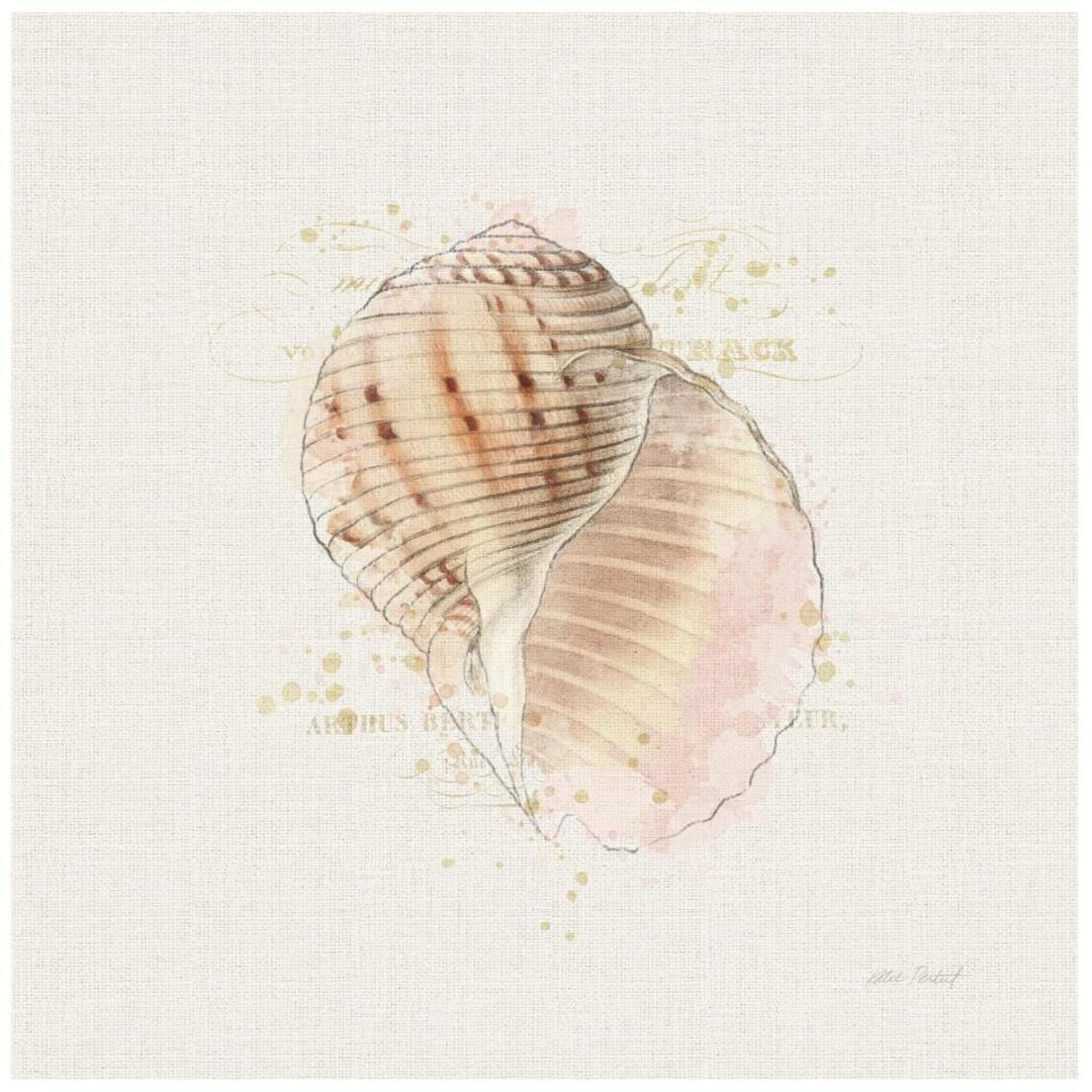 Shell Collector V -Paper Art-20&quotx20"