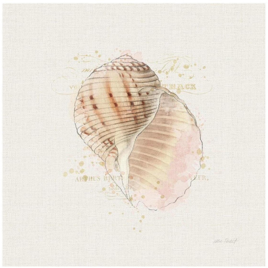 Shell Collector V -Paper Art-26&quotx26"