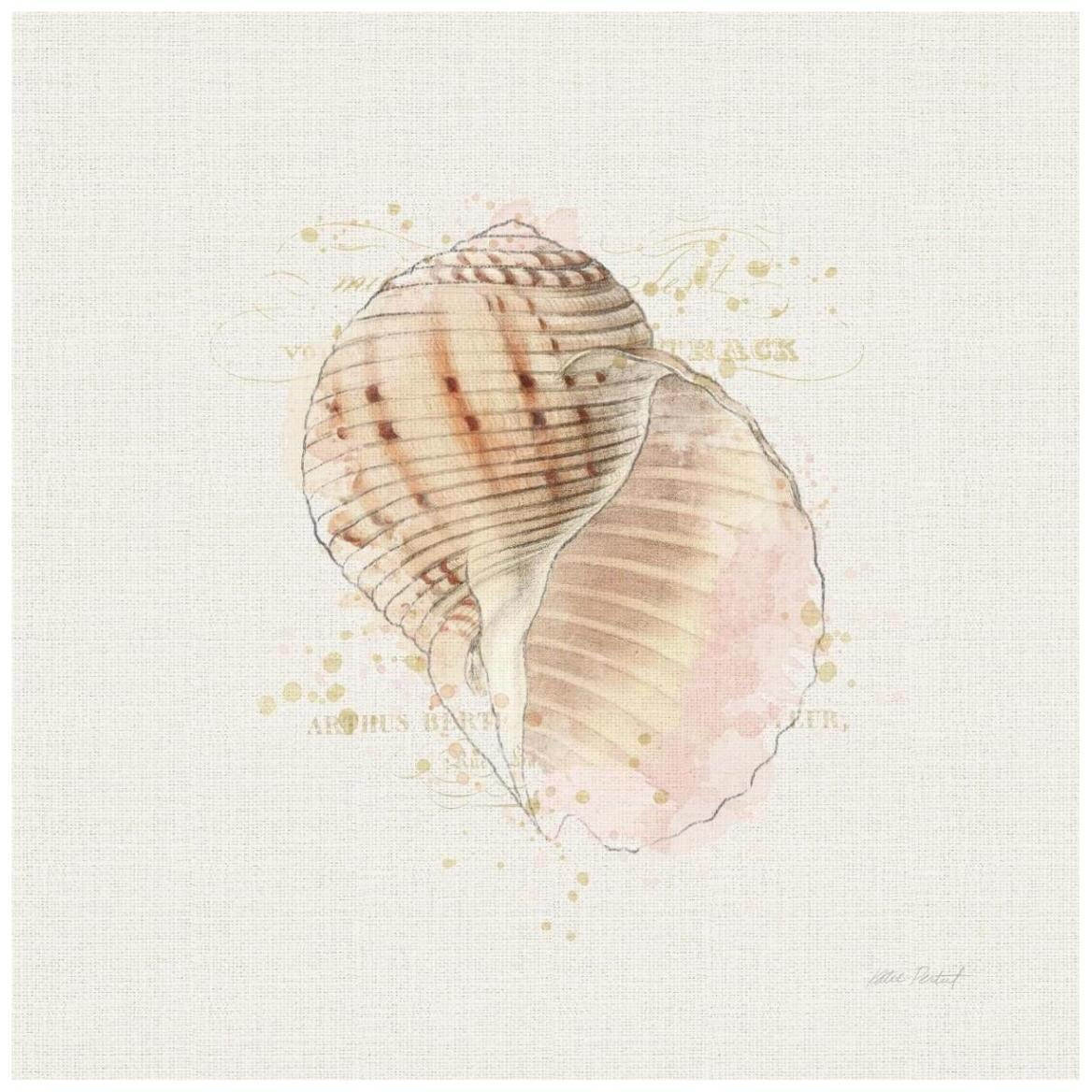 Shell Collector V -Paper Art-42&quotx42"