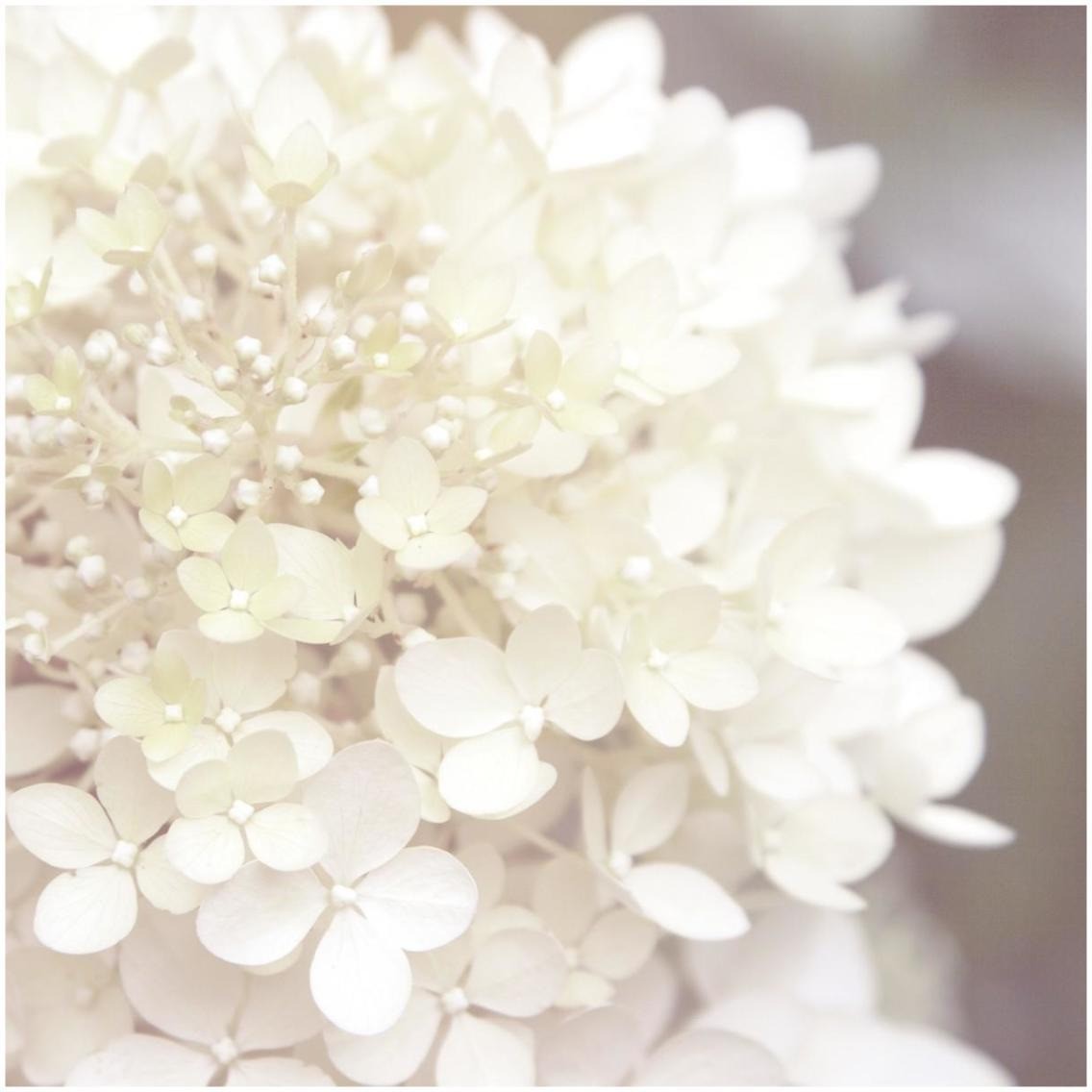Hydrangea Dream I -Paper Art-32&quotx32"