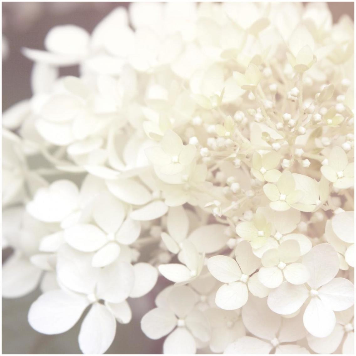 Hydrangea Dream II -Paper Art-32&quotx32"